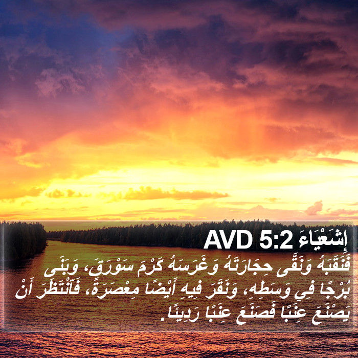 إِشَعْيَاءَ 5:2 AVD Bible Study