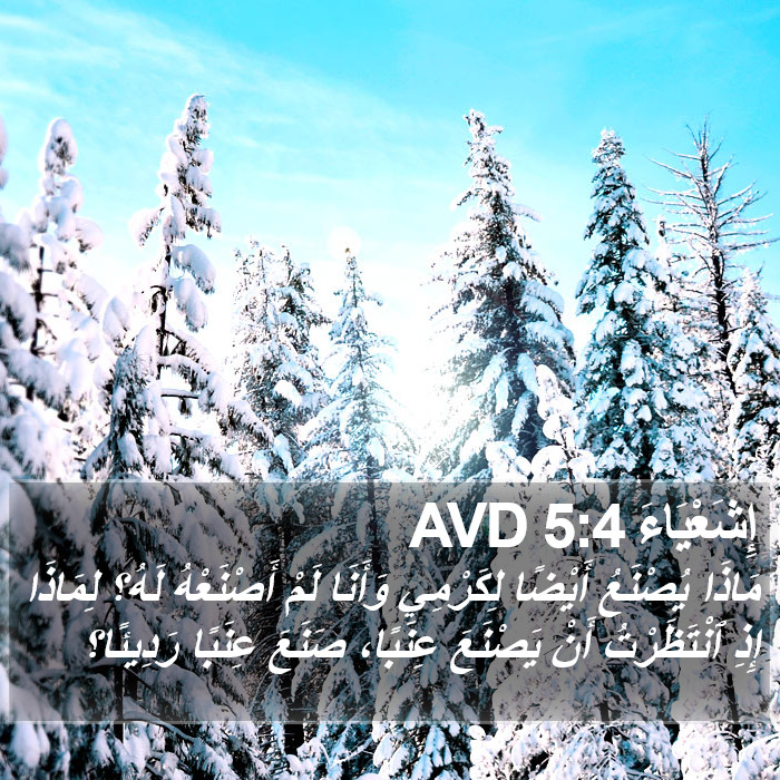 إِشَعْيَاءَ 5:4 AVD Bible Study