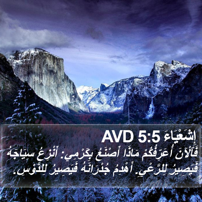 إِشَعْيَاءَ 5:5 AVD Bible Study