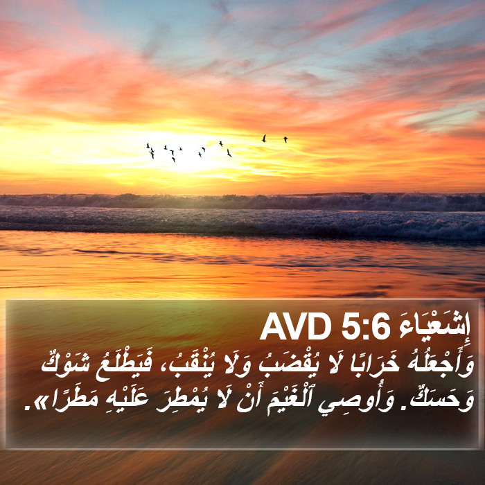 إِشَعْيَاءَ 5:6 AVD Bible Study