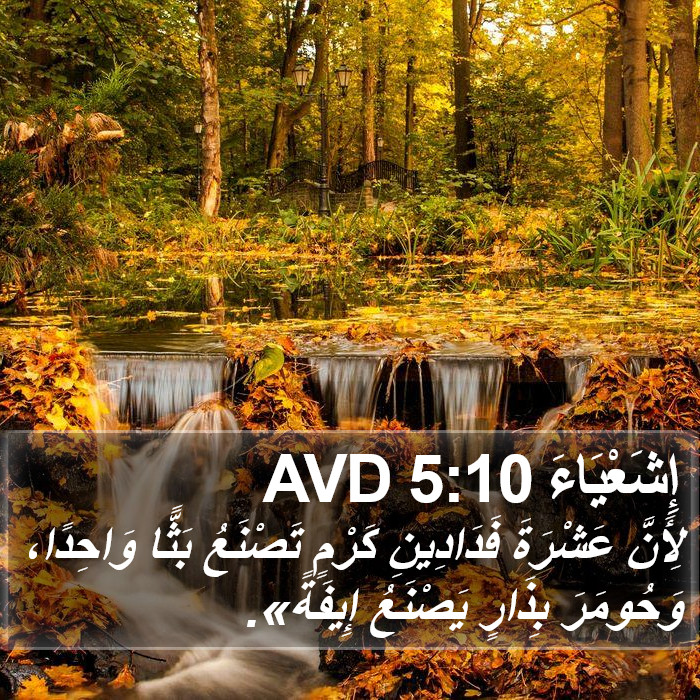 إِشَعْيَاءَ 5:10 AVD Bible Study