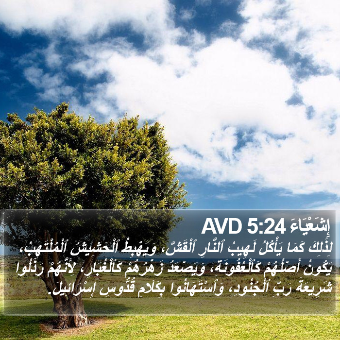 إِشَعْيَاءَ 5:24 AVD Bible Study