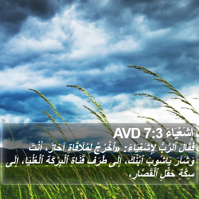 إِشَعْيَاءَ 7:3 AVD Bible Study