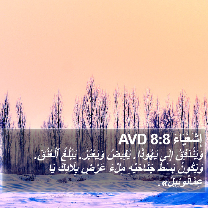 إِشَعْيَاءَ 8:8 AVD Bible Study