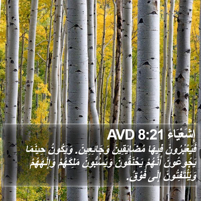 إِشَعْيَاءَ 8:21 AVD Bible Study