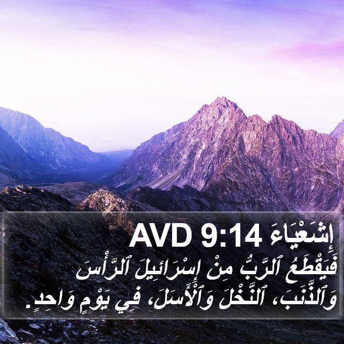 إِشَعْيَاءَ 9:14 AVD Bible Study