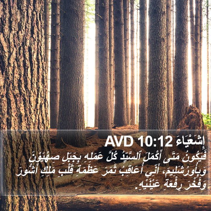 إِشَعْيَاءَ 10:12 AVD Bible Study