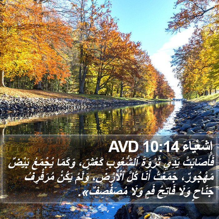 إِشَعْيَاءَ 10:14 AVD Bible Study