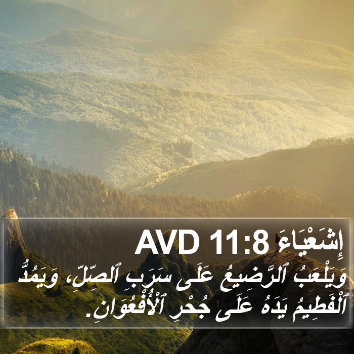 إِشَعْيَاءَ 11:8 AVD Bible Study