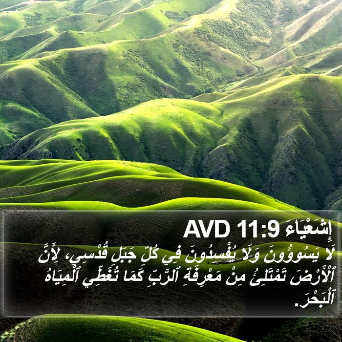 إِشَعْيَاءَ 11:9 AVD Bible Study