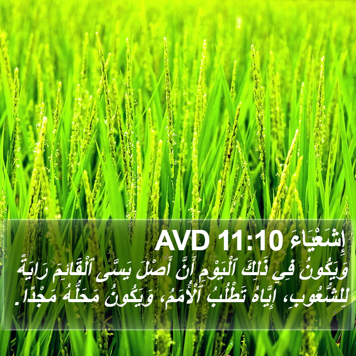 إِشَعْيَاءَ 11:10 AVD Bible Study