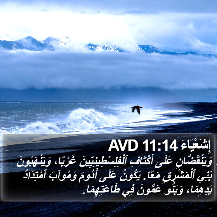 إِشَعْيَاءَ 11:14 AVD Bible Study