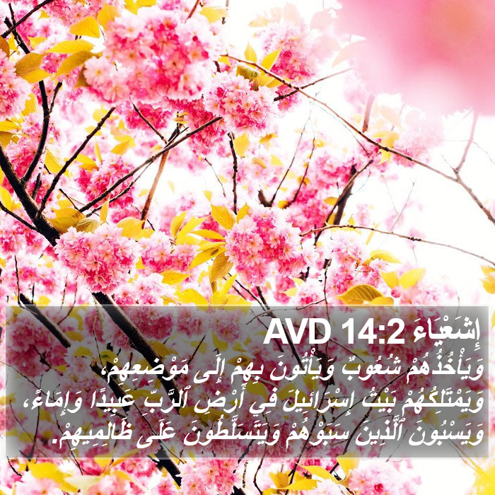 إِشَعْيَاءَ 14:2 AVD Bible Study