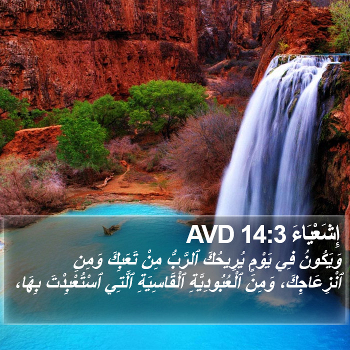 إِشَعْيَاءَ 14:3 AVD Bible Study