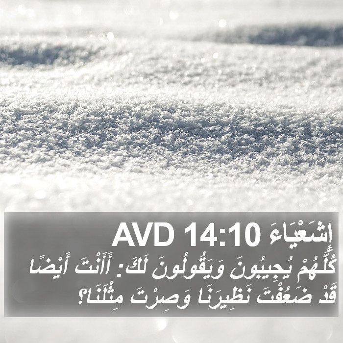 إِشَعْيَاءَ 14:10 AVD Bible Study