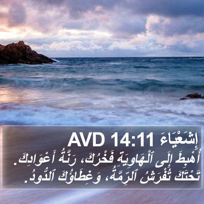 إِشَعْيَاءَ 14:11 AVD Bible Study