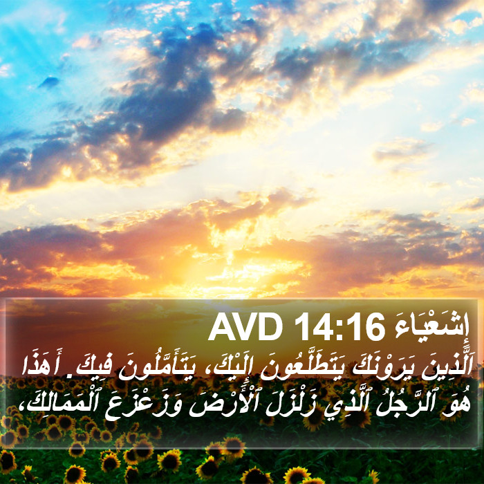 إِشَعْيَاءَ 14:16 AVD Bible Study