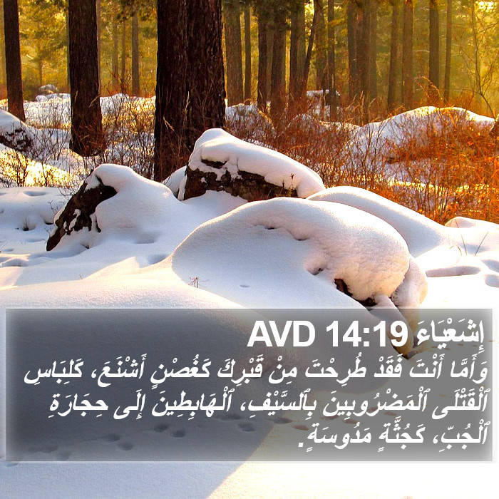 إِشَعْيَاءَ 14:19 AVD Bible Study