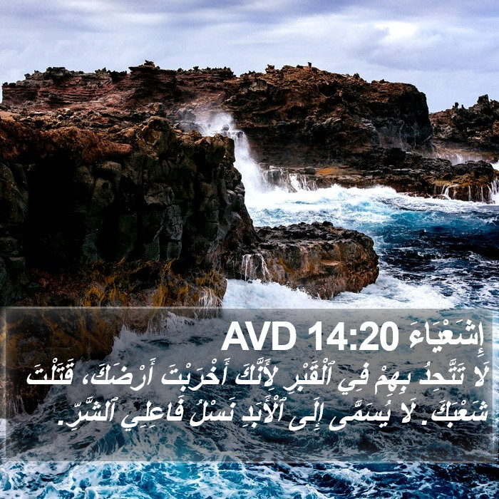 إِشَعْيَاءَ 14:20 AVD Bible Study