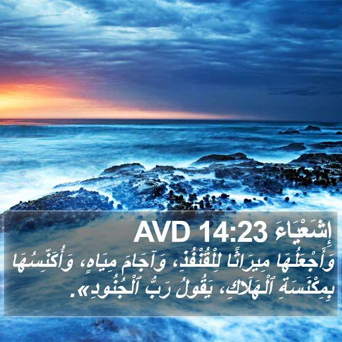 إِشَعْيَاءَ 14:23 AVD Bible Study