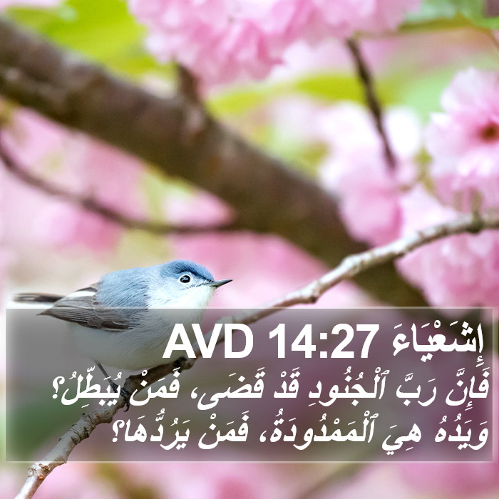 إِشَعْيَاءَ 14:27 AVD Bible Study