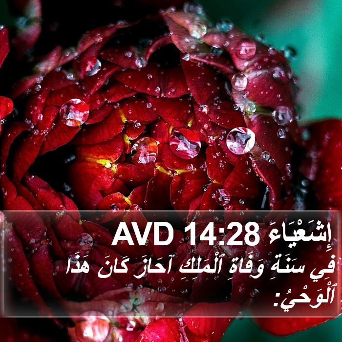 إِشَعْيَاءَ 14:28 AVD Bible Study