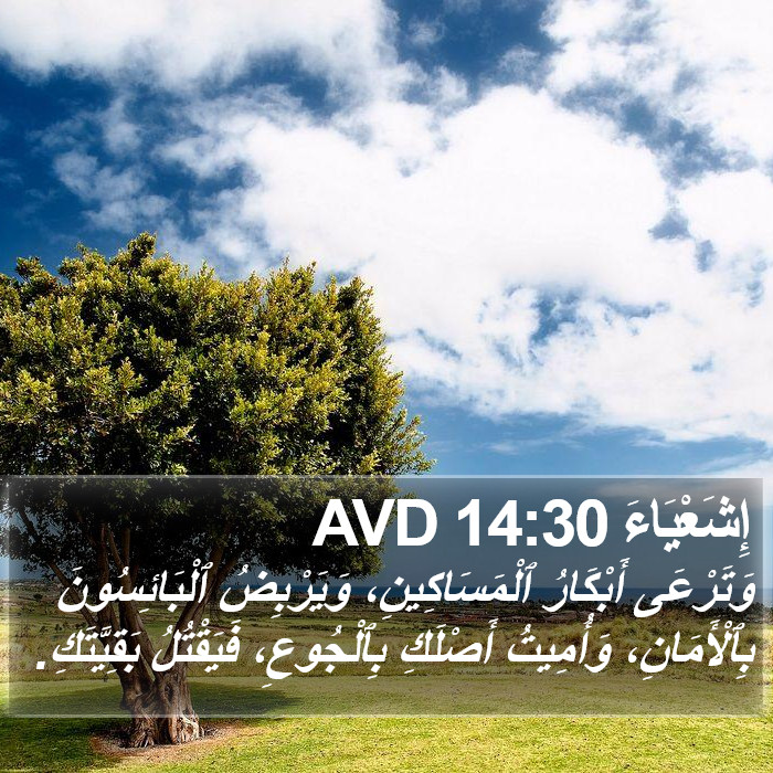 إِشَعْيَاءَ 14:30 AVD Bible Study