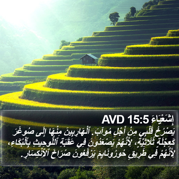 إِشَعْيَاءَ 15:5 AVD Bible Study