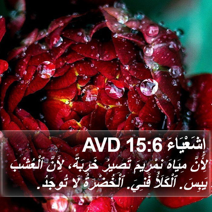 إِشَعْيَاءَ 15:6 AVD Bible Study