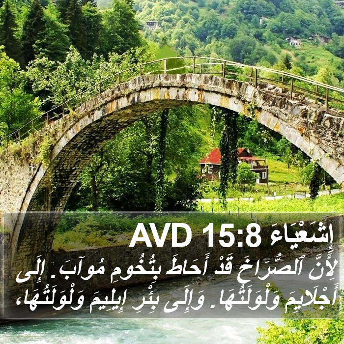 إِشَعْيَاءَ 15:8 AVD Bible Study