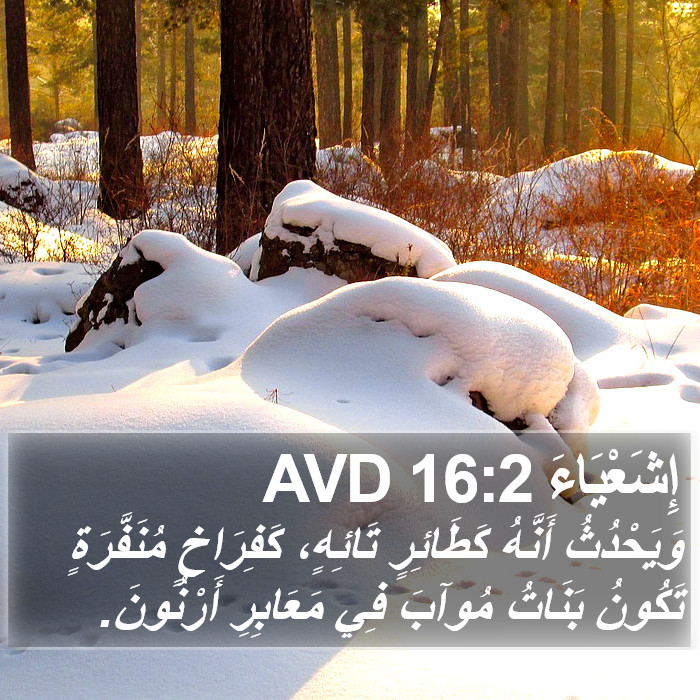 إِشَعْيَاءَ 16:2 AVD Bible Study