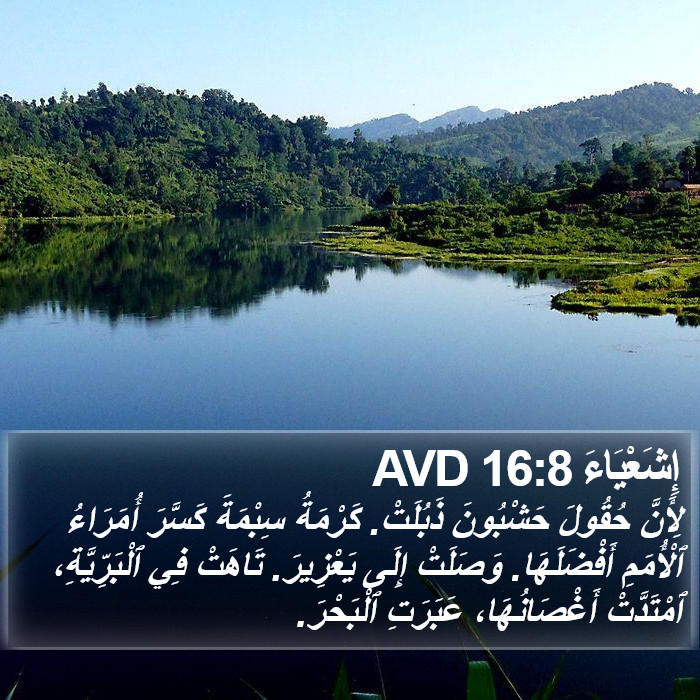 إِشَعْيَاءَ 16:8 AVD Bible Study