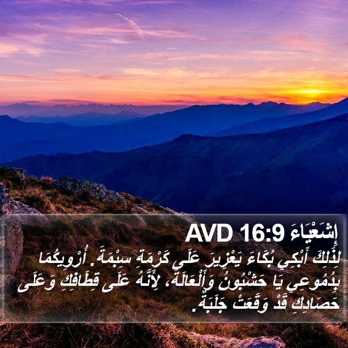 إِشَعْيَاءَ 16:9 AVD Bible Study