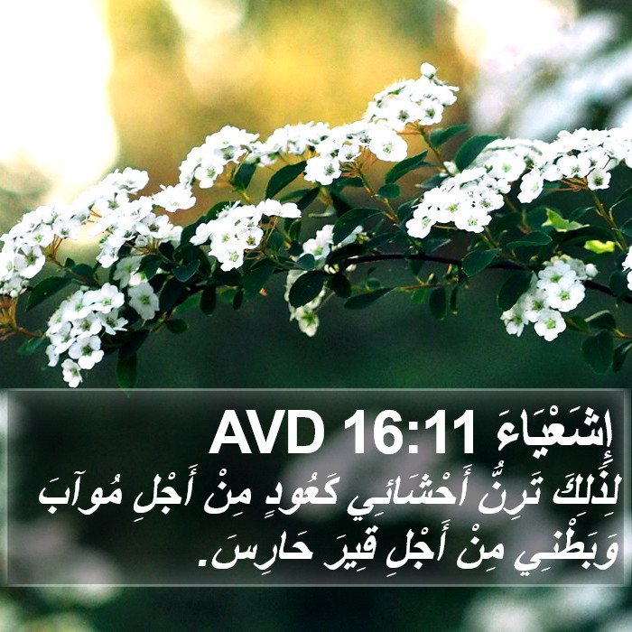 إِشَعْيَاءَ 16:11 AVD Bible Study