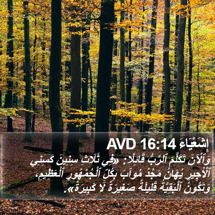 إِشَعْيَاءَ 16:14 AVD Bible Study