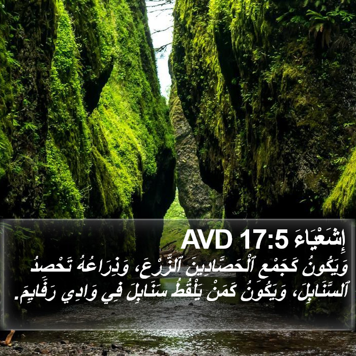 إِشَعْيَاءَ 17:5 AVD Bible Study