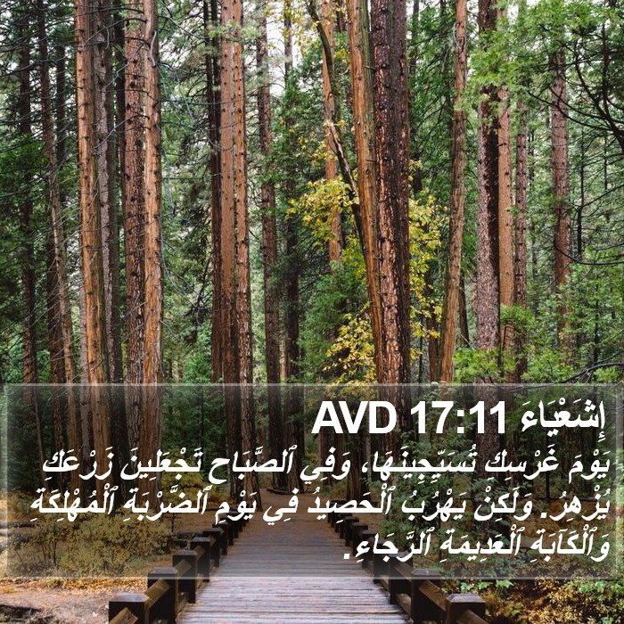 إِشَعْيَاءَ 17:11 AVD Bible Study