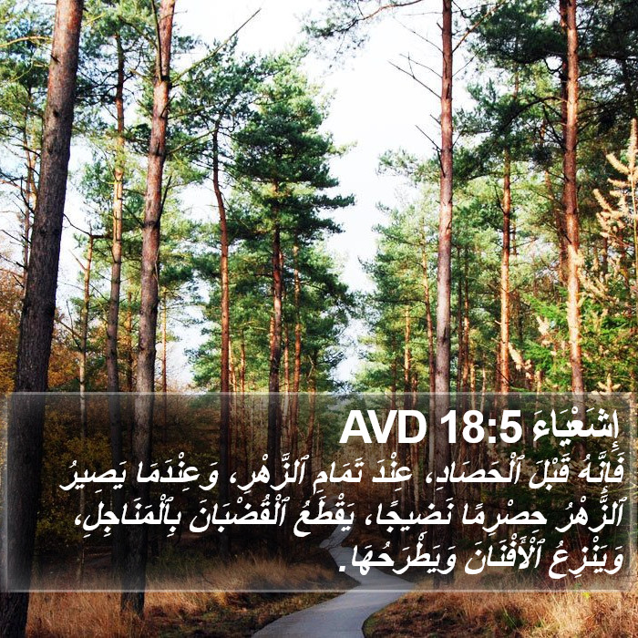 إِشَعْيَاءَ 18:5 AVD Bible Study