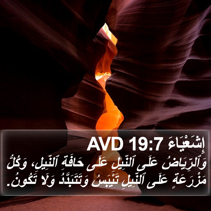 إِشَعْيَاءَ 19:7 AVD Bible Study