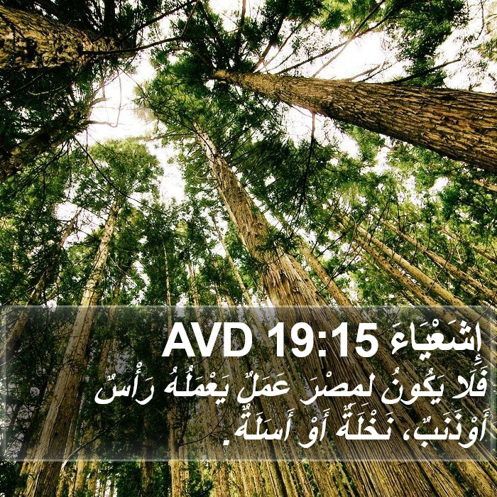 إِشَعْيَاءَ 19:15 AVD Bible Study