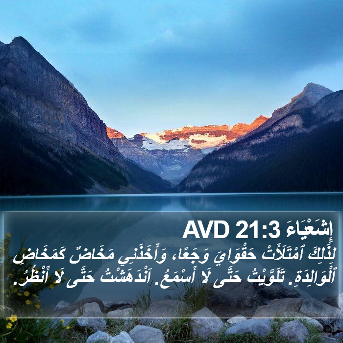 إِشَعْيَاءَ 21:3 AVD Bible Study
