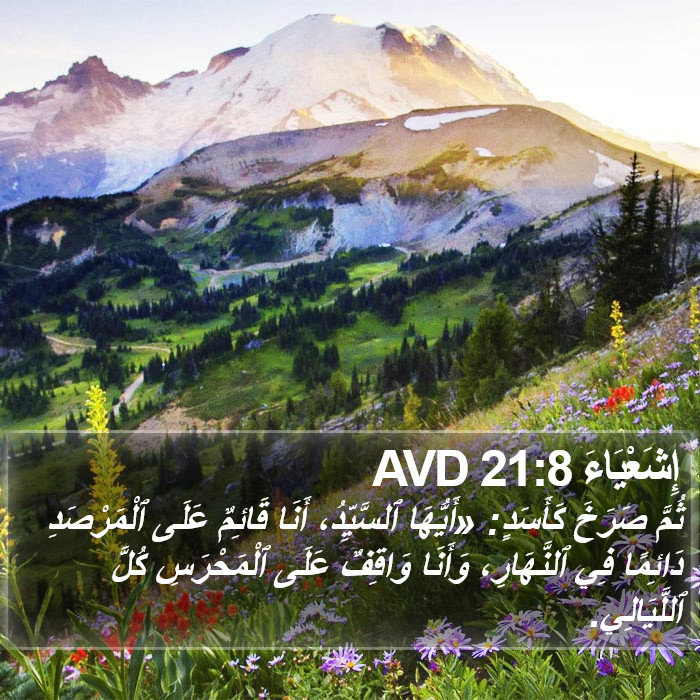 إِشَعْيَاءَ 21:8 AVD Bible Study