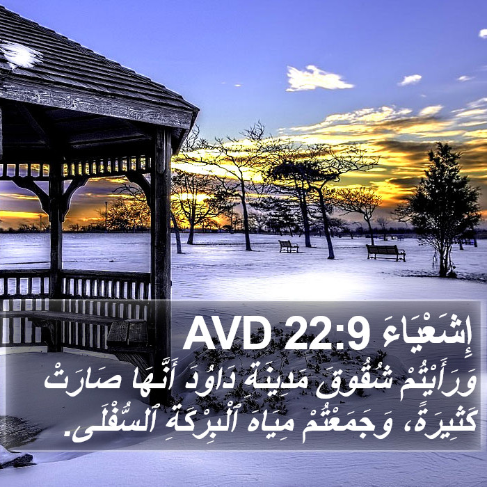 إِشَعْيَاءَ 22:9 AVD Bible Study