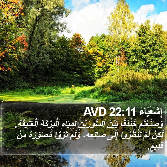 إِشَعْيَاءَ 22:11 AVD Bible Study