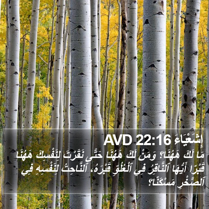 إِشَعْيَاءَ 22:16 AVD Bible Study