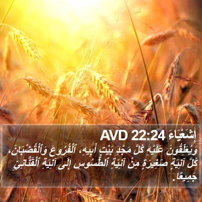 إِشَعْيَاءَ 22:24 AVD Bible Study