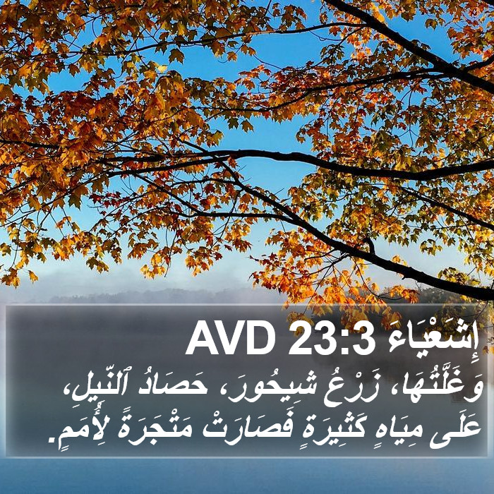 إِشَعْيَاءَ 23:3 AVD Bible Study