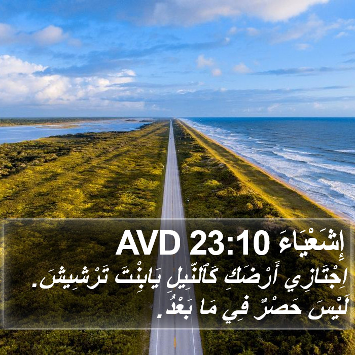 إِشَعْيَاءَ 23:10 AVD Bible Study