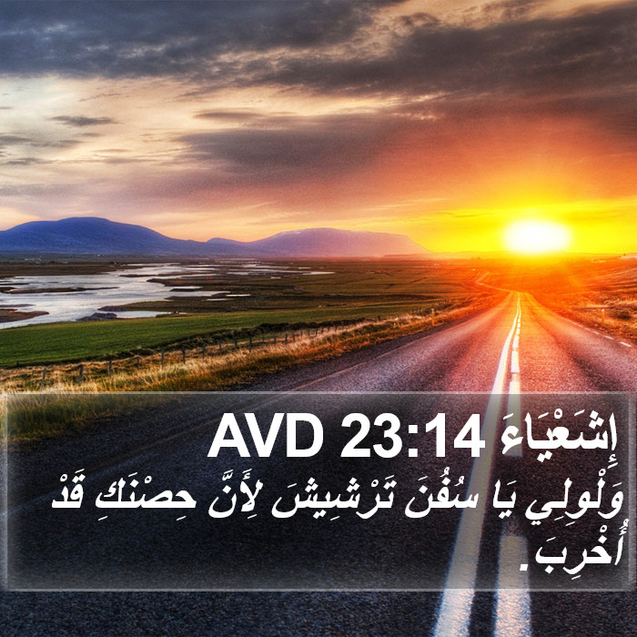 إِشَعْيَاءَ 23:14 AVD Bible Study