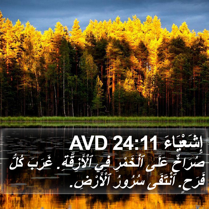 إِشَعْيَاءَ 24:11 AVD Bible Study